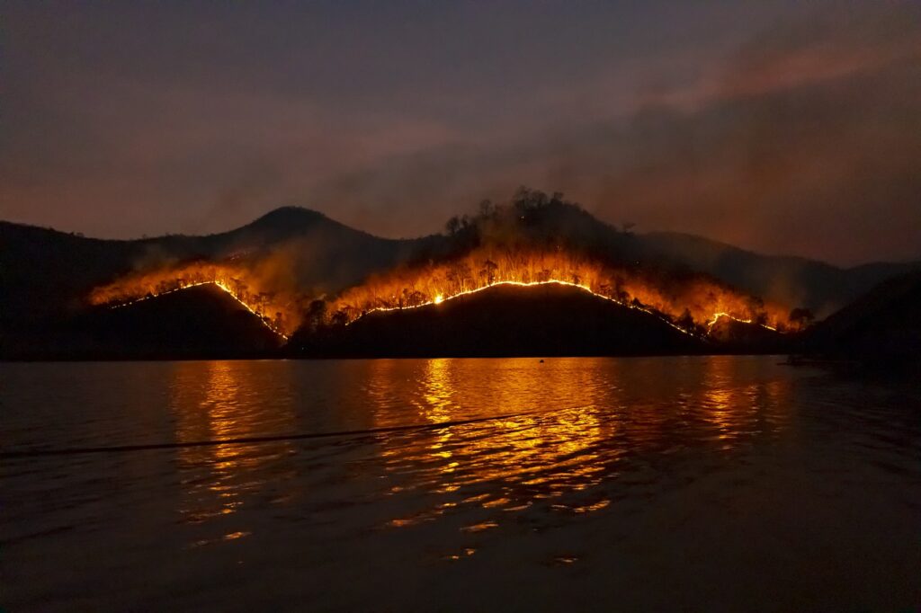 wildfire, bushfire, fire-4755030.jpg